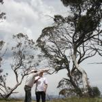 yrtleford - Avventura con il 4x4 sul mt. buffalo national park.